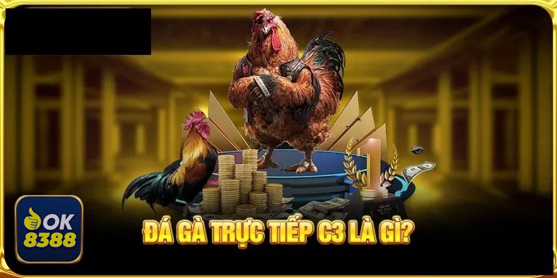 Đá Gà ok8388 - Chuẩn bị kết nối ổn định trước khi theo dõi
